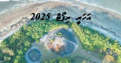 2025 ވަނަ އަހަރު ކައުންސިލުން ހިންގި ހަރަކާތްތަކުގެ ތަފްސީލީ ރިޕޯޓް